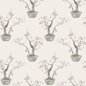126-2004 Cole & Son Shinrin Yoku Kaki Persimmon