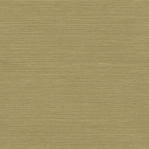Cactus | kleurmijninterieur