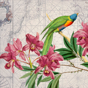Livingwalls ARTist DD119717 official high-resolution product image