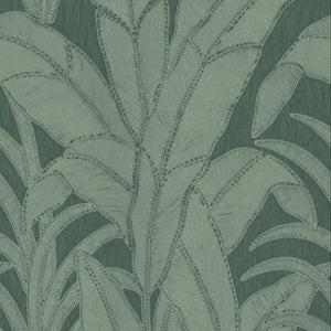 64504 Arte Manila Botanic Pine