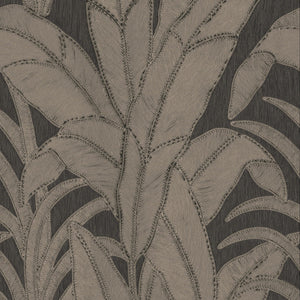 64505 Arte Manila Botanic Eclipse