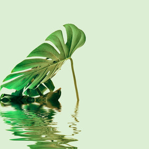 Livingwalls ARTist DD119793 official high-resolution product image