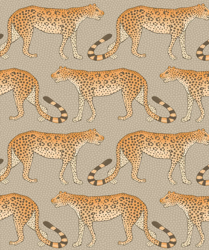 Cole & Son 109-2010 official flatshot