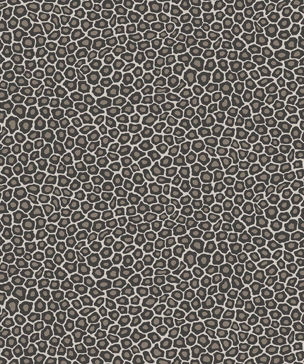 Cole & Son 109-6031 official flatshot