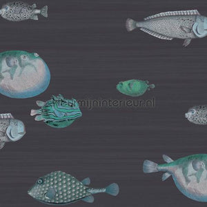 Cole and Son Fornasetti 114-16032 | Bestellen bij https://www.kleurmijninterieur.nl/