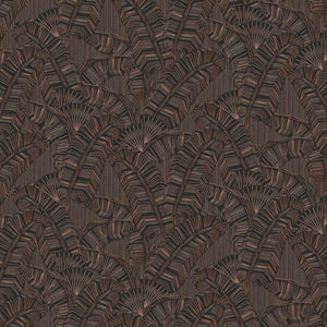 AMA403 Masureel Amani Solana Chocolate