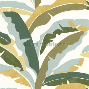 Caselio XXL XXL104567070 | Bestellen bij https://www.kleurmijninterieur.nl/