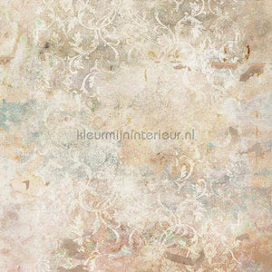 Komar RAW R2-004 | Bestellen bij https://www.kleurmijninterieur.nl/