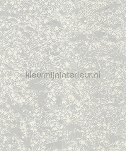 Dutch First Class Roberto Cavalli 8 19034 | Bestellen bij https://www.kleurmijninterieur.nl/