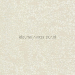 Dutch First Class Roberto Cavalli 8 19037 | Bestellen bij https://www.kleurmijninterieur.nl/