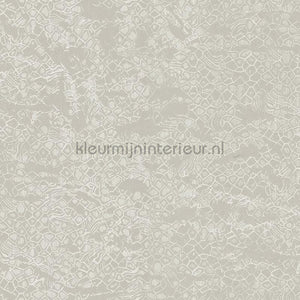 Dutch First Class Roberto Cavalli 8 19038 | Bestellen bij https://www.kleurmijninterieur.nl/