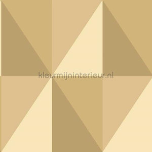 Cole and Son Geometric II 105-10042 | Bestellen bij https://www.kleurmijninterieur.nl/