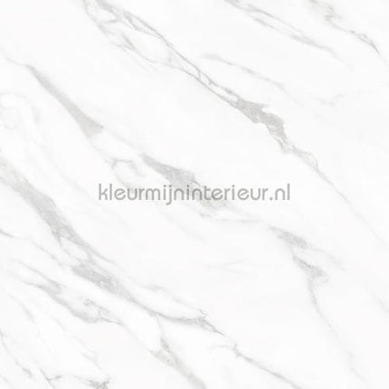 Bodaq Marmer ns814 | Bestellen bij https://www.kleurmijninterieur.nl/