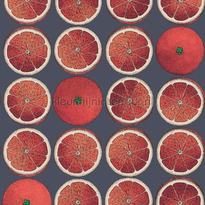 Cole and Son Fornasetti 114-24046 | Bestellen bij https://www.kleurmijninterieur.nl/