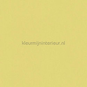 Architects Paper Floral Impression 377488 | Bestellen bij https://www.kleurmijninterieur.nl/