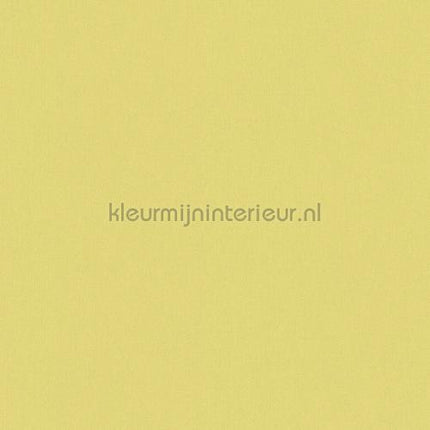 Architects Paper Floral Impression 377488 | Bestellen bij https://www.kleurmijninterieur.nl/