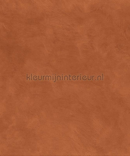 Casamance Mouvements A75492752 | Bestellen bij https://www.kleurmijninterieur.nl/