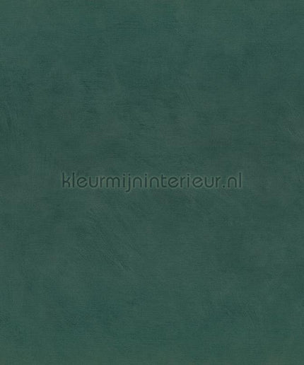 Casamance Mouvements A75494384 | Bestellen bij https://www.kleurmijninterieur.nl/