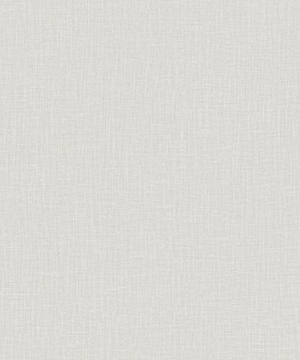 40523 Arte Textura Gioco Ash