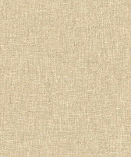 40532 Arte Textura Gioco Sand
