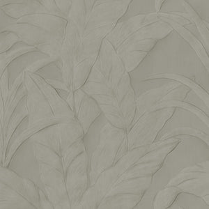 75000 Arte Monsoon Musa Silver