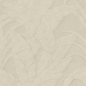 75002 Arte Monsoon Musa Fog