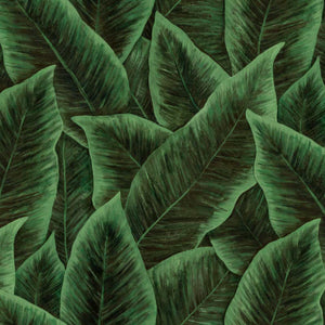 97572 Arte Decors Panoramiques Bird of paradise