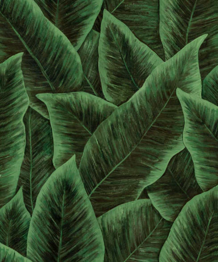 97572 Arte Decors Panoramiques Bird of paradise