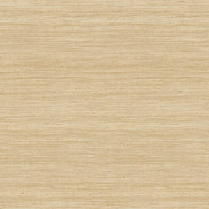 Arte Expedition Tasar 72024