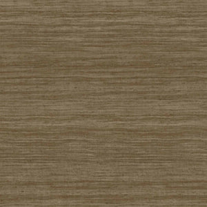 Arte Expedition Tasar 72037