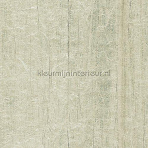 Arte Takara 25023 | Bestellen bij https://www.kleurmijninterieur.nl/