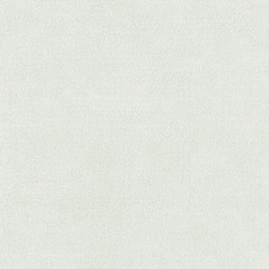 ED2003 Arte Edition Interlude