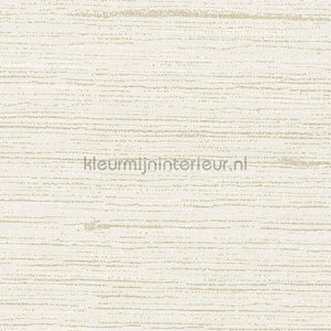 Arte Contract Silkx Raw 67491 | Bestellen bij https://www.kleurmijninterieur.nl/
