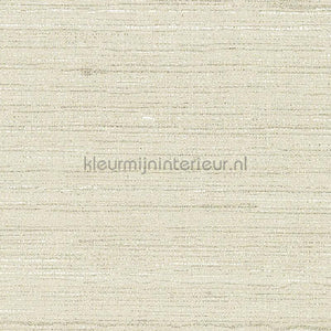 Arte Contract Silkx Raw 67492 | Bestellen bij https://www.kleurmijninterieur.nl/