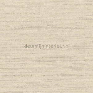 Arte Contract Silkx Raw 67499 | Bestellen bij https://www.kleurmijninterieur.nl/