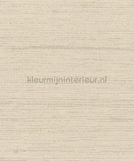 Arte Contract Silkx Raw 67499 | Bestellen bij https://www.kleurmijninterieur.nl/