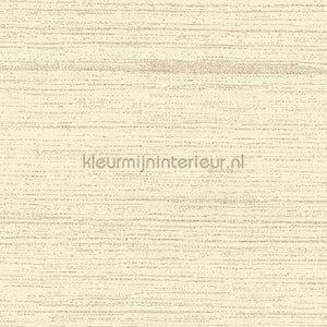 Arte Contract Silkx Raw 67501 | Bestellen bij https://www.kleurmijninterieur.nl/