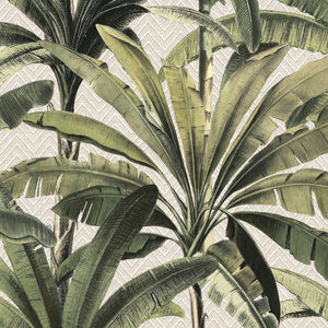 Arte 11140 exact high-resolution image