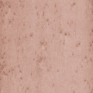 Arte Stellar 37503A official high-resolution packshot
