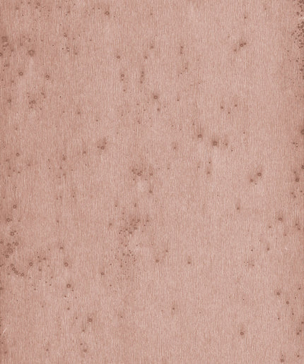 Arte Stellar 37503A official high-resolution packshot