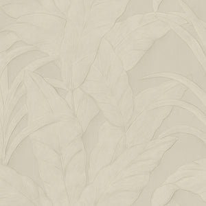Arte 75002A official high-resolution image