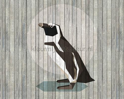 AS Creation Walls by Patel 2 dd113412 | Bestellen bij https://www.kleurmijninterieur.nl/