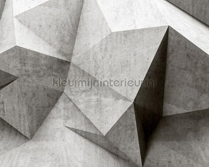AS Creation Walls by Patel 2 dd113522 | Bestellen bij https://www.kleurmijninterieur.nl/