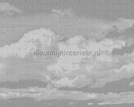 AS Creation Walls by Patel 2 dd113777 | Bestellen bij https://www.kleurmijninterieur.nl/