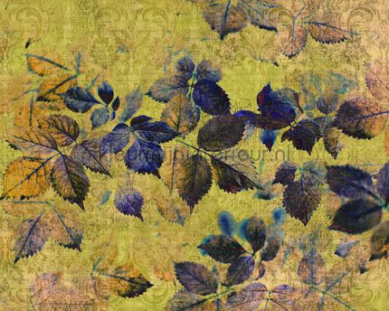 AS Creation Walls by Patel 2 dd114092 | Bestellen bij https://www.kleurmijninterieur.nl/