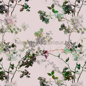 AS Creation Walls by Patel dd110281 | Bestellen bij https://www.kleurmijninterieur.nl/