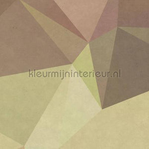 AS Creation Walls by Patel dd110936 | Bestellen bij https://www.kleurmijninterieur.nl/