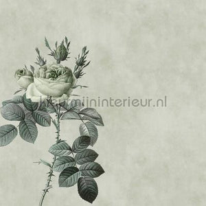 AS Creation Walls by Patel dd110746 | Bestellen bij https://www.kleurmijninterieur.nl/