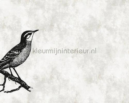 AS Creation Walls by Patel dd110366 | Bestellen bij https://www.kleurmijninterieur.nl/