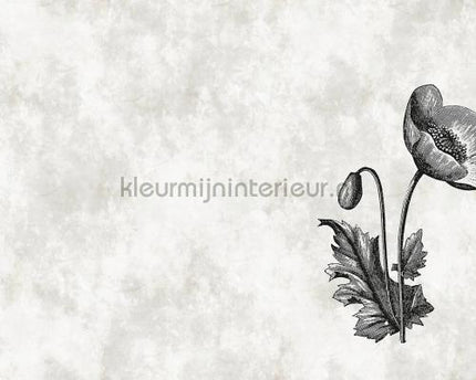 AS Creation Walls by Patel dd110376 | Bestellen bij https://www.kleurmijninterieur.nl/